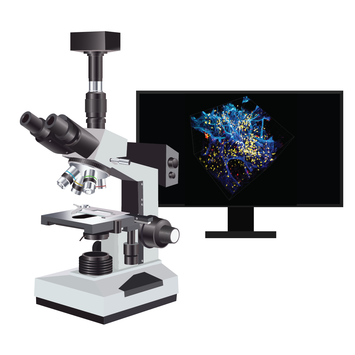 confocal microscope and screen showing 2d FFPE image