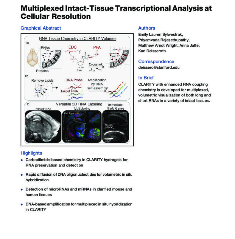 Multiplexed intact-tissue transcriptional analysis at cellular resolution_Sylwestrak_CellRes2016