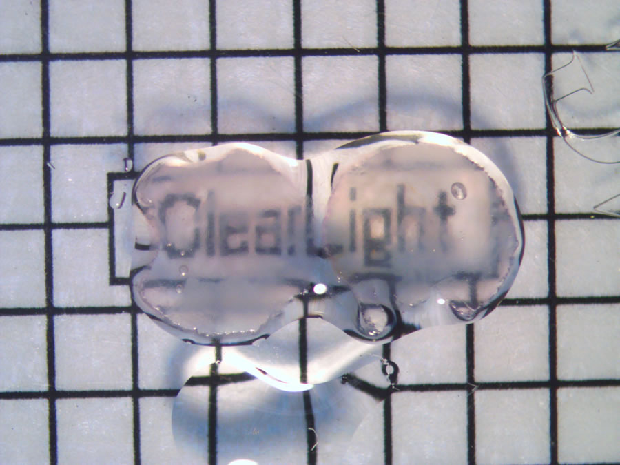 Cleared and RI matched image comparison (MCF7 xenograft) - CUBIC tissue clearing comparison