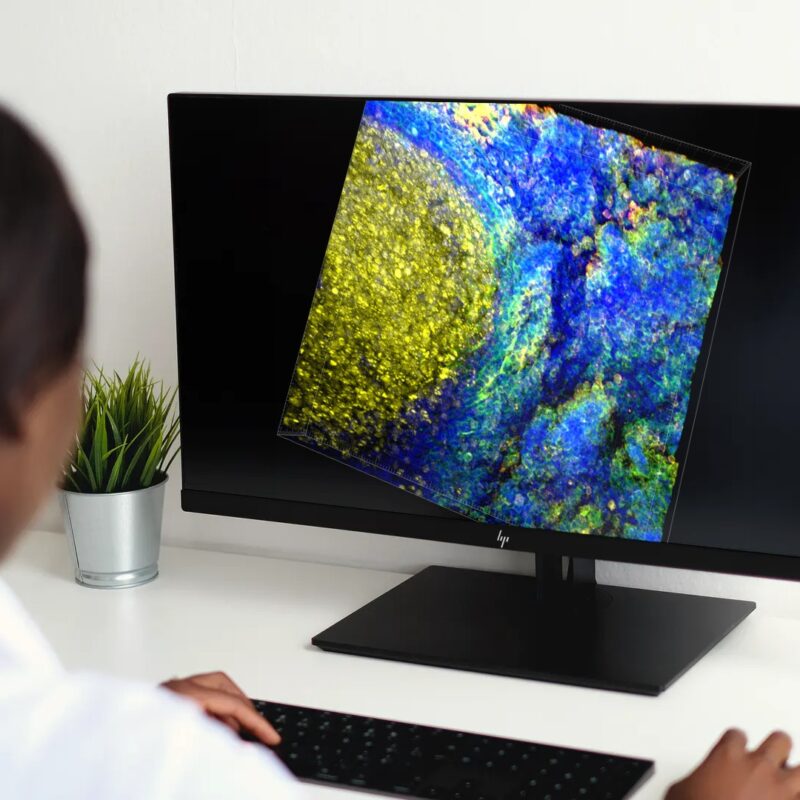 Image of 3D IHC Viewing Experience Giving New Insights to Researchers - Press Resources