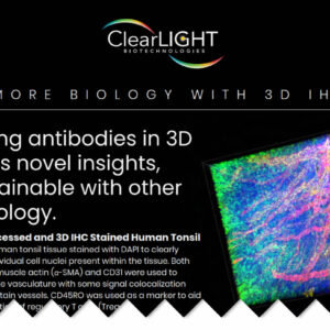 ClearLight in the Drug Development Process - Press Resources